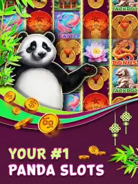 Panda Slots Screen Shot 8