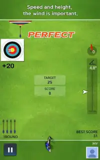 Archery Ace Screen Shot 4