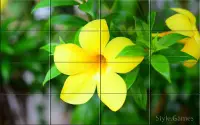 Wonderful Flowers Puzzle Screen Shot 2