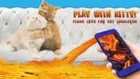 Floor Lava dla Cat Simulator Screen Shot 0