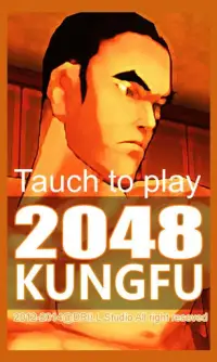 Kungfu 2048 Screen Shot 1