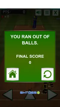 Cricket challenge Game 2020 Screen Shot 3