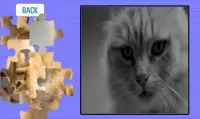 Jigsaw puzzle - Themes Screen Shot 3