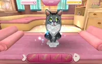 CatHotel - play with cute cats Screen Shot 6