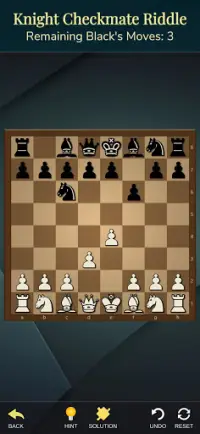 Chess Riddles Deluxe Screen Shot 5