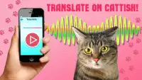 Human to cat translation: Talk with your cat Screen Shot 0