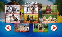 Dogs Puzzles Screen Shot 5
