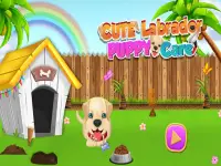 Cute Labrador Puppy Care: Dream Pet Friend Screen Shot 4