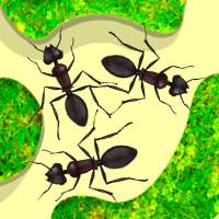 محاكاة مزرعة النمل