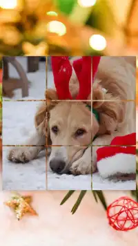 sparse kids Animals Christmas Screen Shot 2