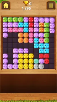 Block Puzzle Crush Screen Shot 3