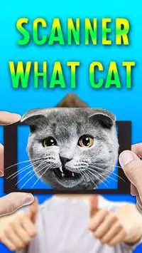 Escáner: ¿Qué gato? Screen Shot 0
