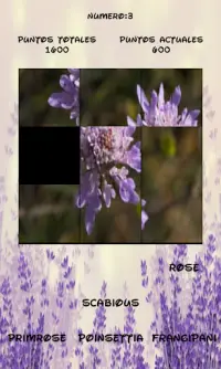 Flowers puzzle, discover which one is hidden. Screen Shot 7
