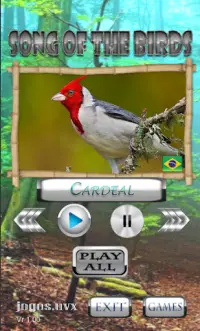 Song of the Birds Screen Shot 1