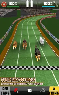 jogo de corrida de cães para animais de estimação Screen Shot 5