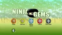 Ninja Gems Screen Shot 0