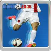 Euro 2016 Soccer