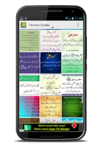 Hazrat Ali Quotes in Urdu Screen Shot 2
