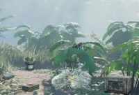 Escape Game - Beautiful Jungle Screen Shot 5