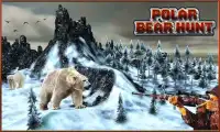 Polowanie na niedźwiedzia pola Screen Shot 1