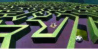 3D Maze Game ( Bhul Bhulaiya) Screen Shot 5