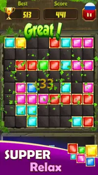 Block Puzzle: деревянный блок - игра-головоломка Screen Shot 9