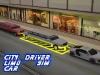 City limo car driver sim Screen Shot 12