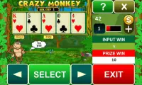 Crazy Monkey slot machine Screen Shot 2