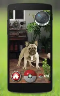 Pocket Puppy cani GO! Screen Shot 2