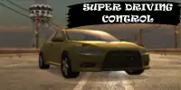 Car Race Super Screen Shot 1