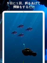 深海魚チョウチンアンコウの育成 Screen Shot 4