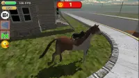 Cat Simulator : kitty can ride Screen Shot 3