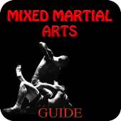 Mixed Martial Arts Guide