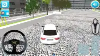 Parkir Real 3D Car Screen Shot 2