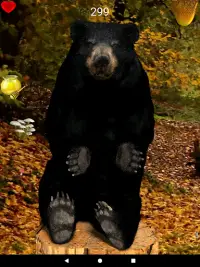 Hands with Bear Screen Shot 10