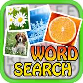 Word Search with Images