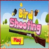 Bird Shooting - Play High in the sky
