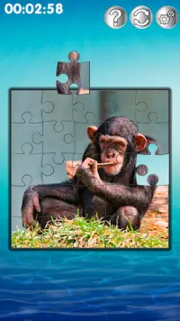 Puzzles Des Animaux - Puzzle Screen Shot 6