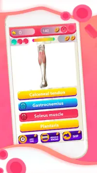 Anatomie En Fysiologie Quiz Spel Screen Shot 0