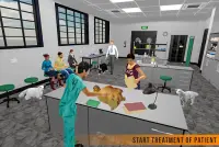 Virtual Pet Doctor:Emergency Care Hospital Screen Shot 5
