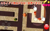 農園のクマさん 3D - Maze Run Screen Shot 3