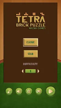 Tetra Brick Puzzle - Free Brick Game Screen Shot 0