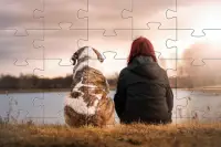 Jigsaw Puzzles without the Internet 🧩🆓️🧩🆓🧩 Screen Shot 3