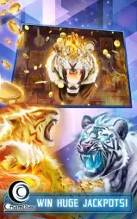Fire Tiger Slots Screen Shot 8
