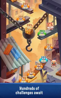 Pet Rescue Puzzle Saga Screen Shot 14