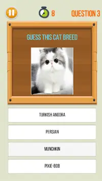 Amazing Kitty Cat Trivia Screen Shot 2