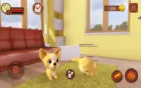 Chihuahua Dog Simulator Screen Shot 16