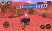 Doberman Dog Simulator Screen Shot 6