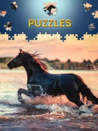 Horses Jigsaw Puzzles Free Screen Shot 0