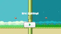 Bird Challenge Screen Shot 1